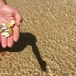 Beach Holiday דירה פוסטה
