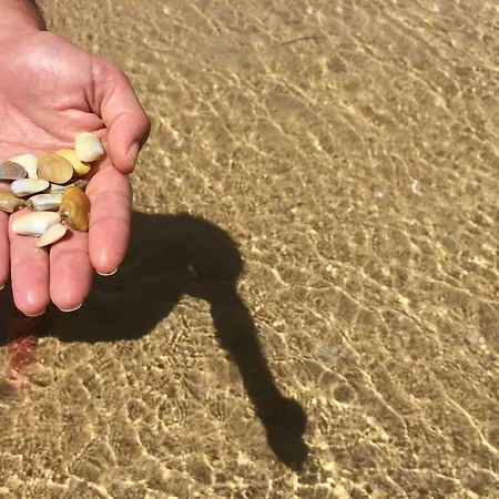 Beach Holiday Apartman Fuzeta